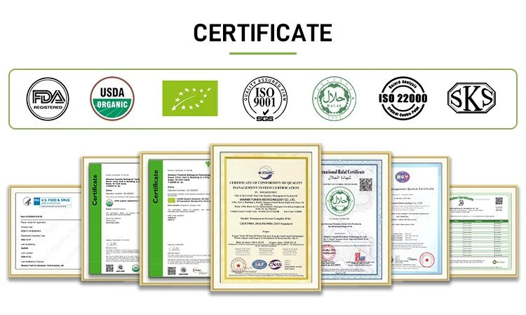 Certificate Certificate