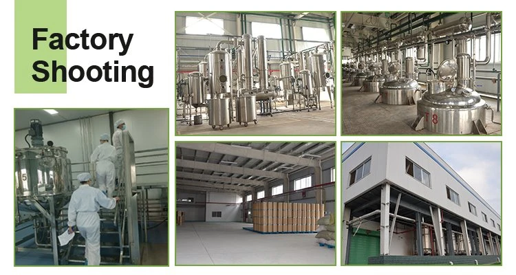 factory factory