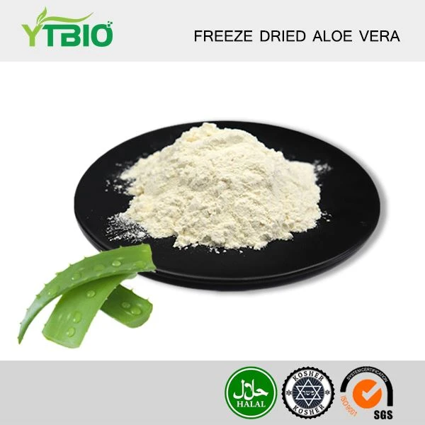 Friża Trab tal-Aloe Vera Imnixxef