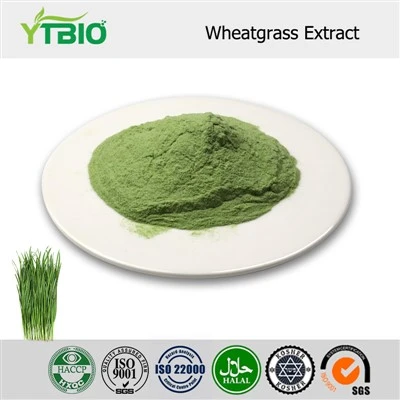 Wheatgrass Estratt Trab