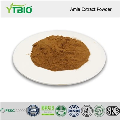 Trab tal-estratt AMLA